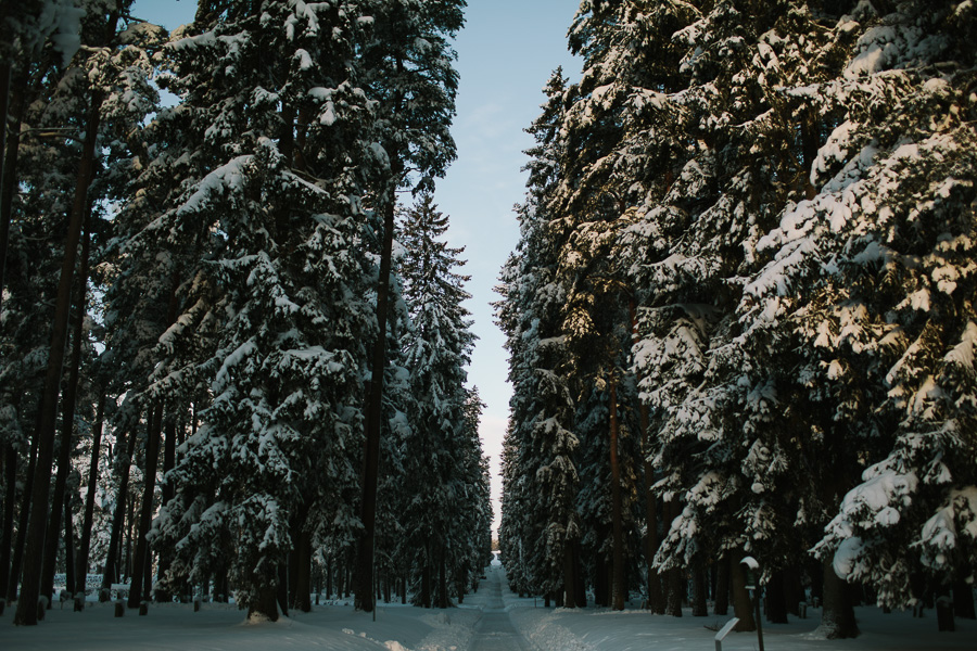 Skogskyrkogården 0009