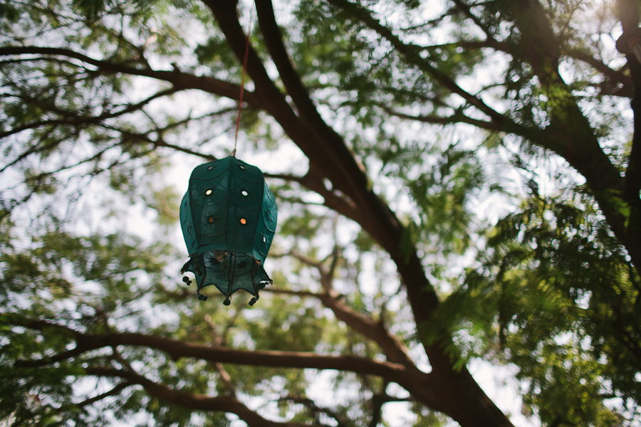 Destination Photographer India Lamp in tree Destination Photographer India Lamp in tree