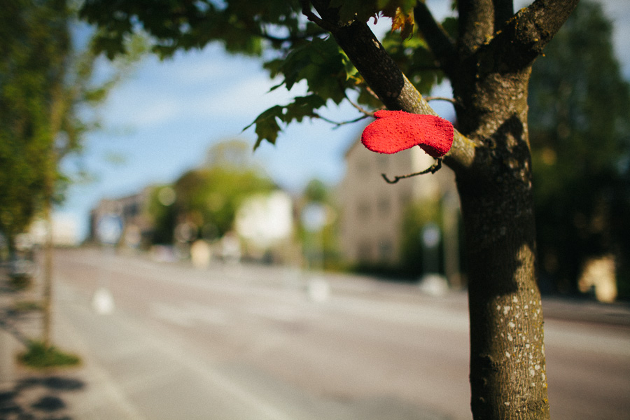Mitten on tree Mitten on tree