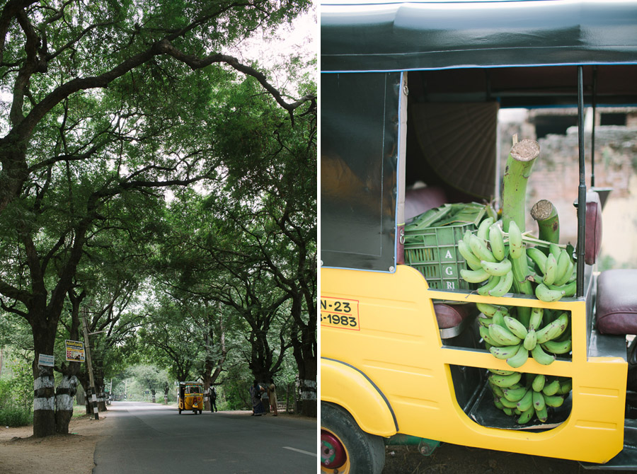 Photographer Tamil Nadu India Photographer Tamil Nadu India