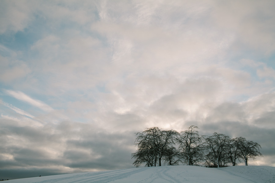 Skogskyrkogården Skogskyrkogården
