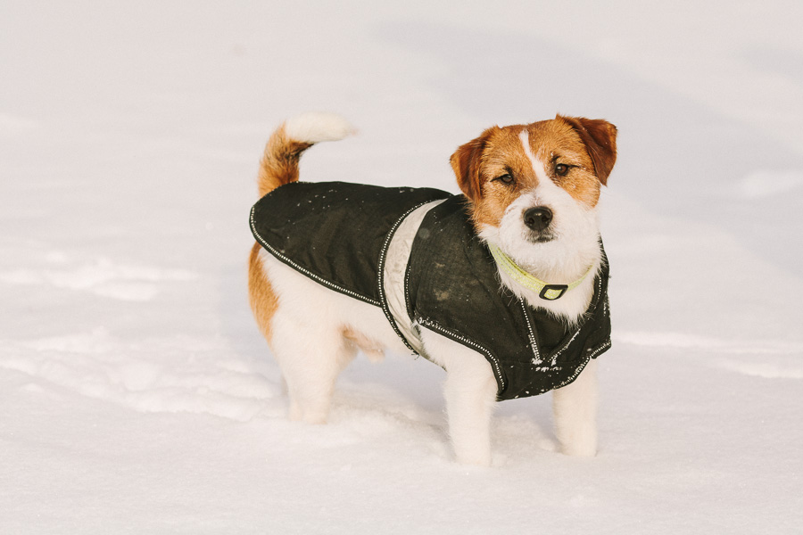 Fotograf Västerås Wille står redo