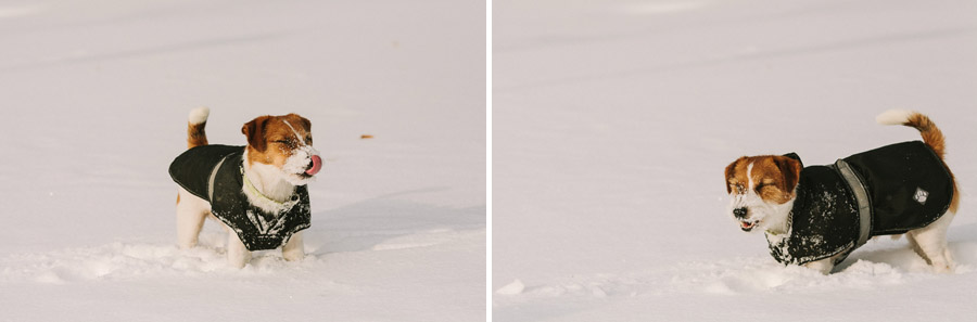 Vinterbilder på Wille