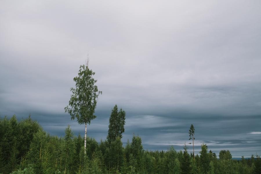 Hälsinglands skogar och slätter1