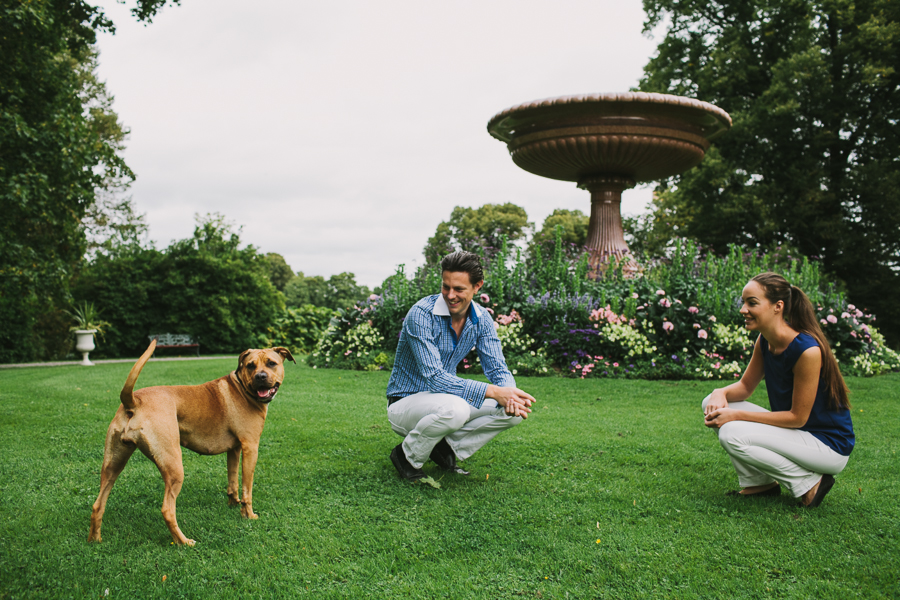 Lek med hunden på Djurgården