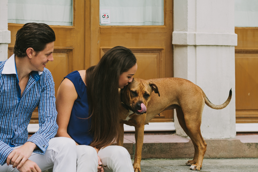 Parfotografering Djurgården Ögonblick med hunden