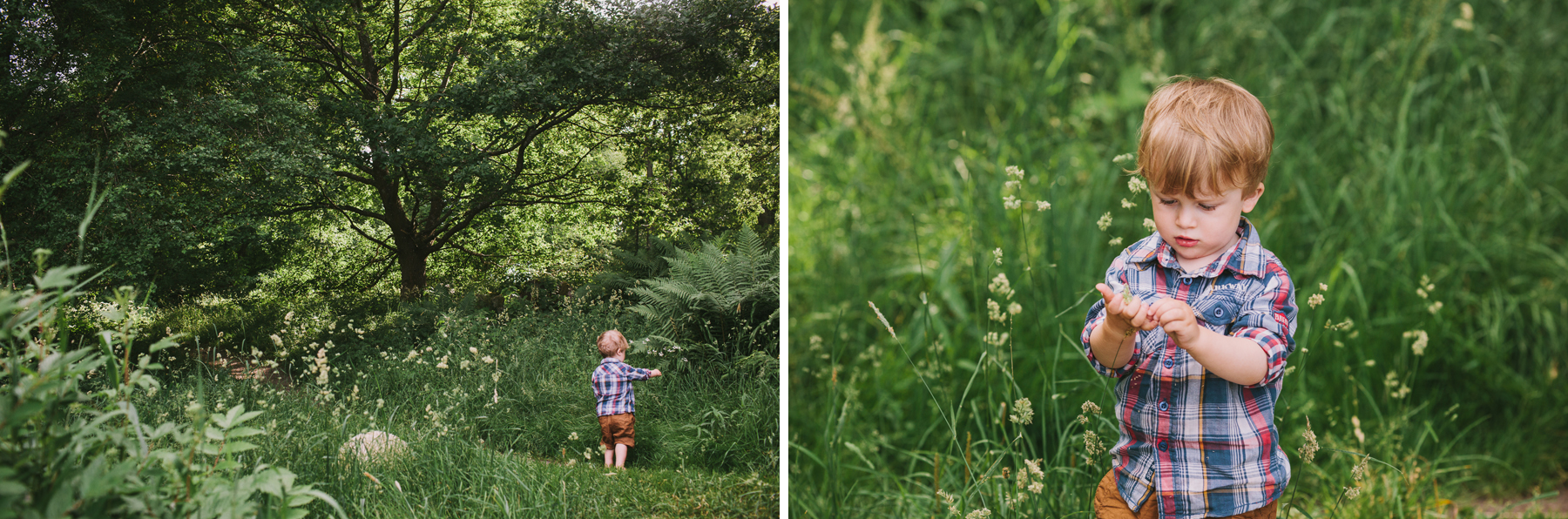 Grabben undersöker parken