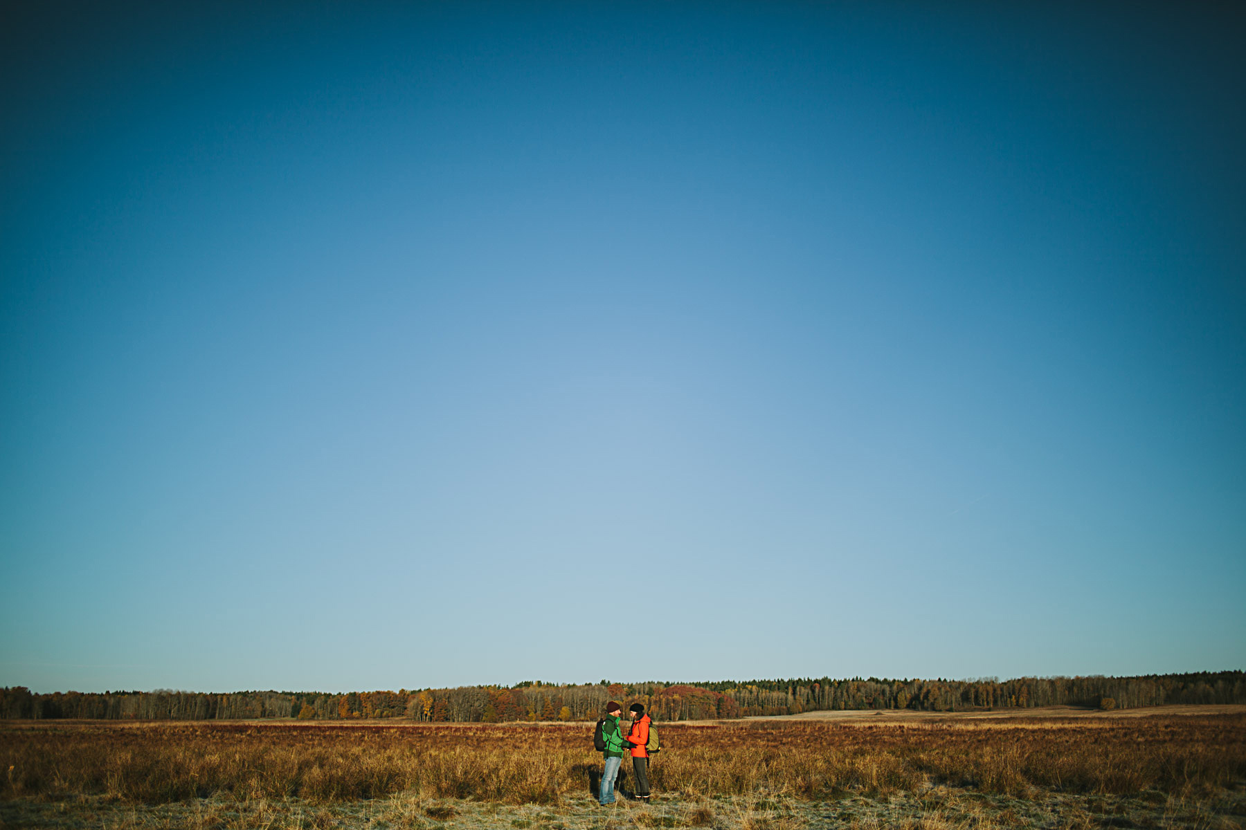 porträtt på ängen