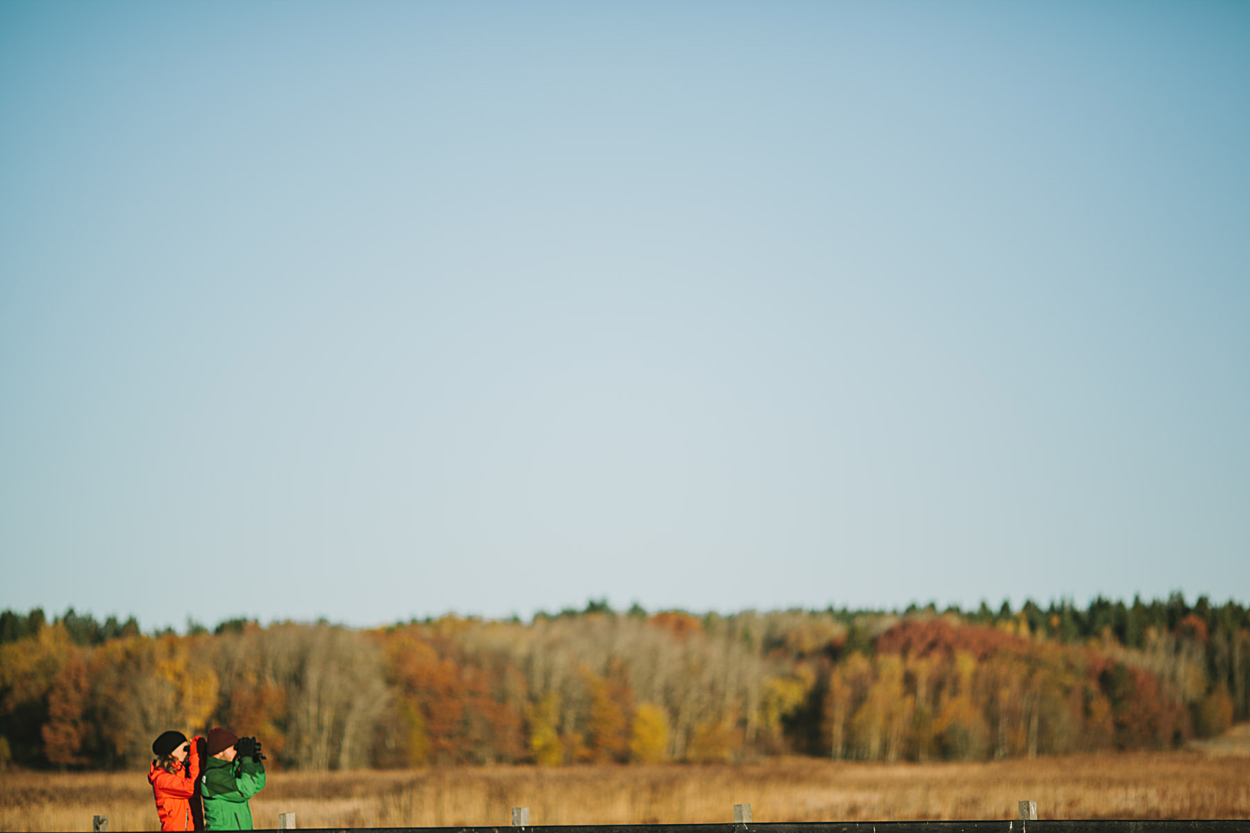 fågelskådning på gång