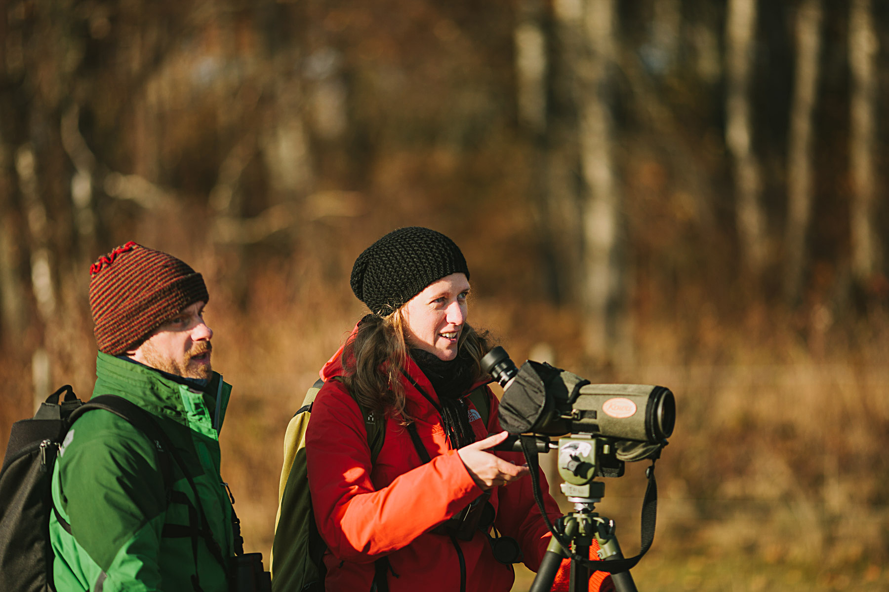 Fågelskådning vid Angarnsjön
