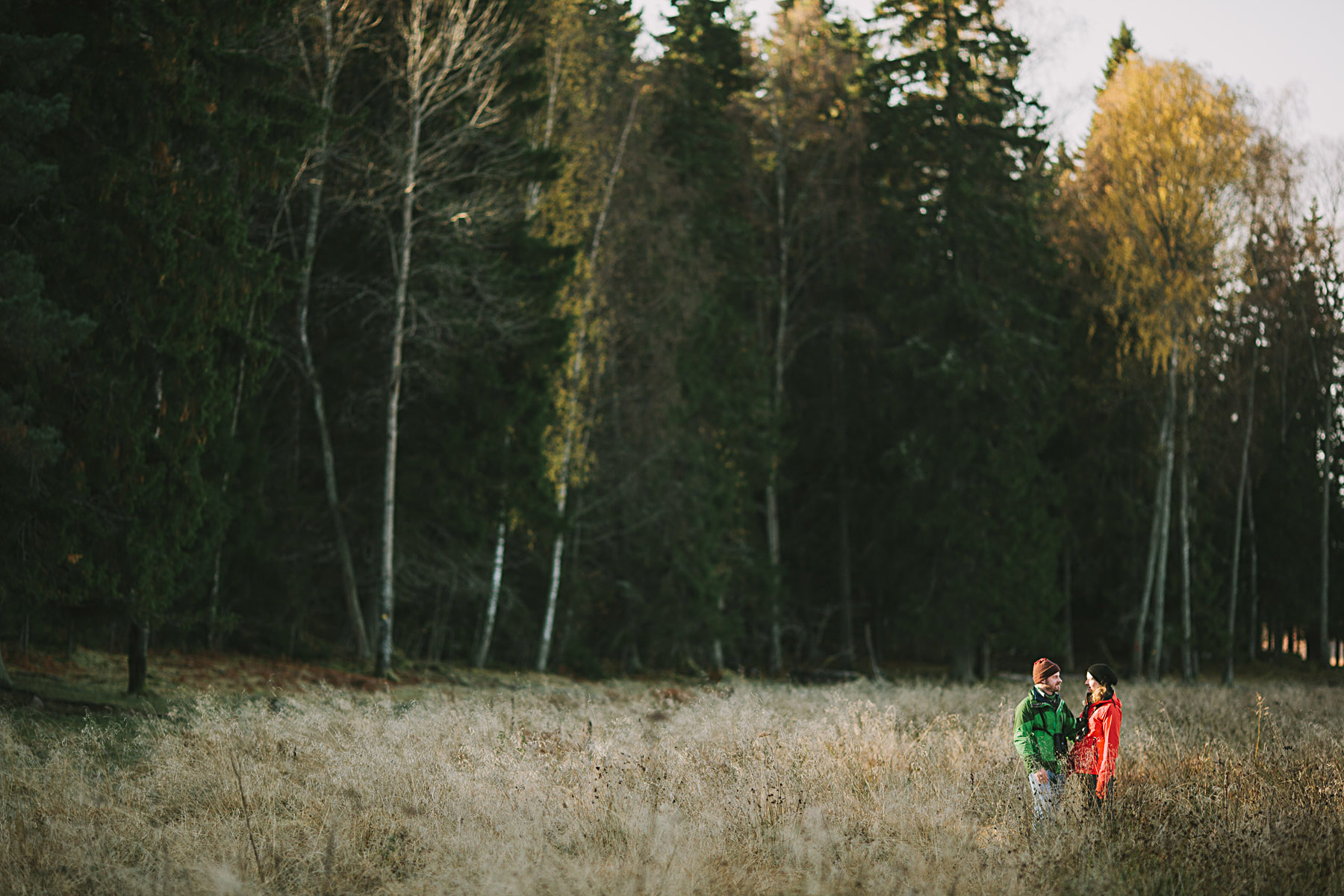parbild i skogsgläntan